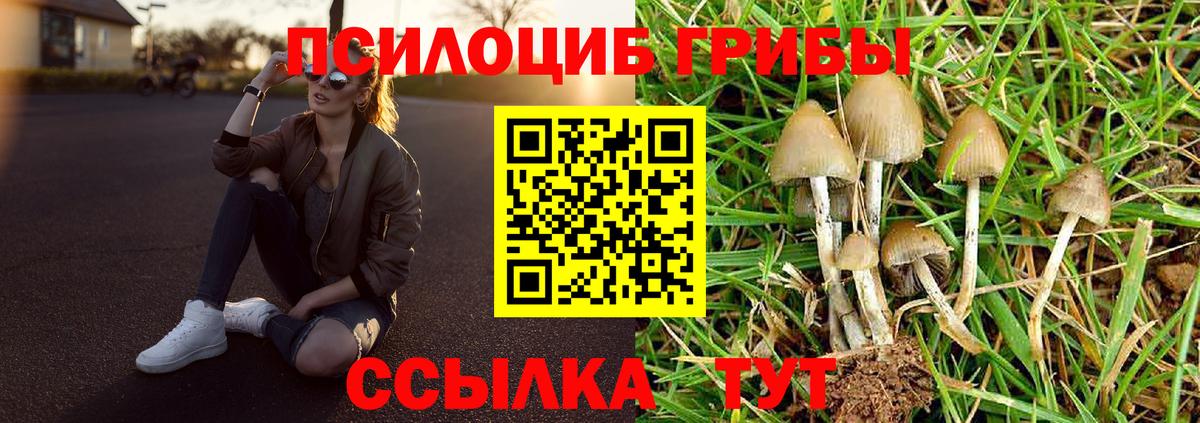 Псилоцибиновые грибы мицелий Наро-Фоминск